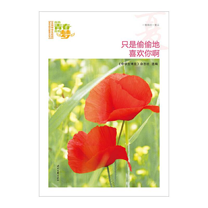 我的青春我的梦：只是偷偷地喜欢你啊