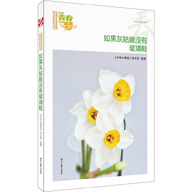 我的青春我的梦：如果灰姑娘没有玻璃鞋