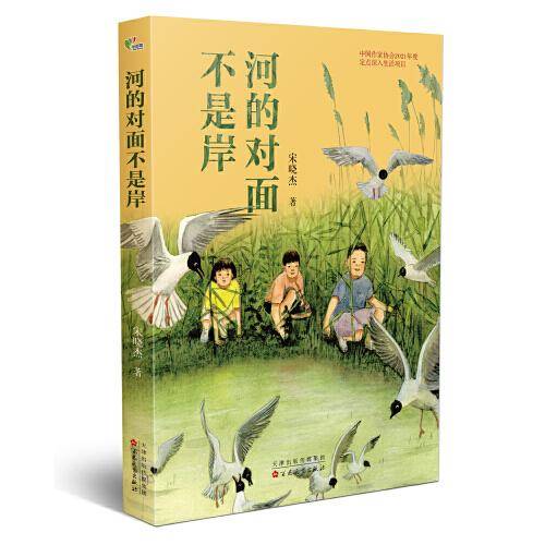 河的对面不是岸