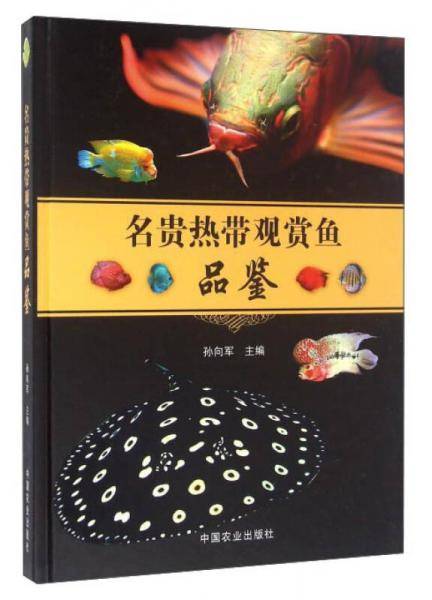 名贵热带观赏鱼品鉴