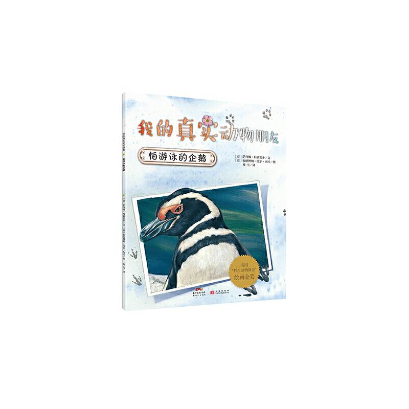 我的真实动物朋友：怕游泳的企鹅