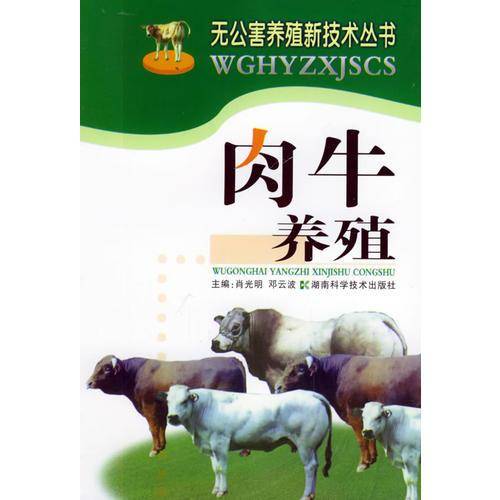 肉牛养殖