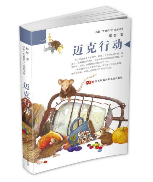 祁智芝麻开门成长书系：迈克行动