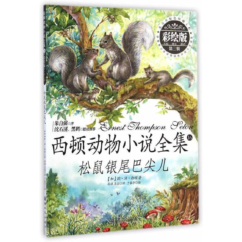 小木马童书 松鼠银尾巴尖儿(彩绘版)(第三辑)