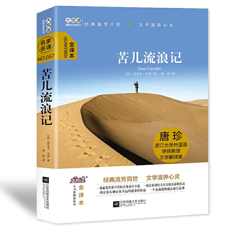 大悦读精装名著阅读 苦儿流浪记