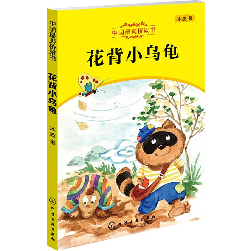花背小乌龟