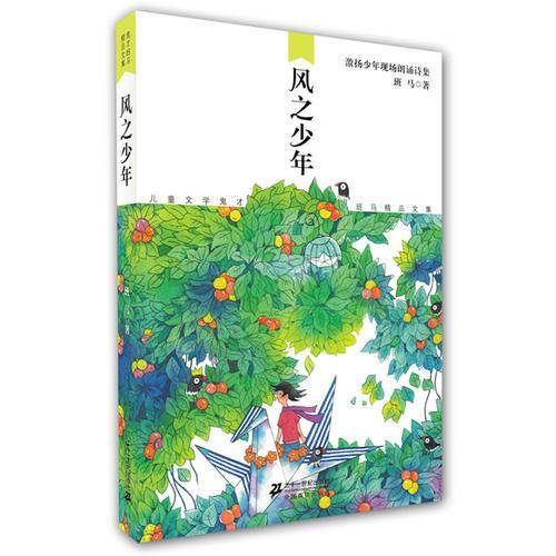 风之少年
