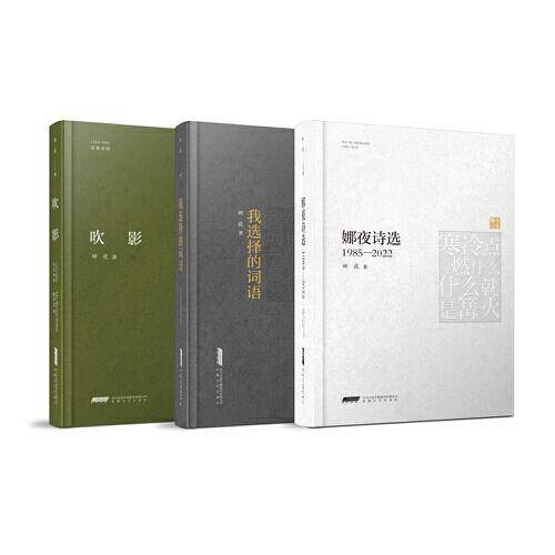 娜夜诗集