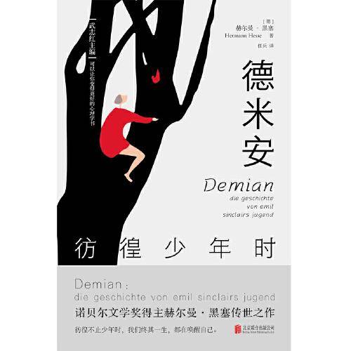 德米安：彷徨少年时