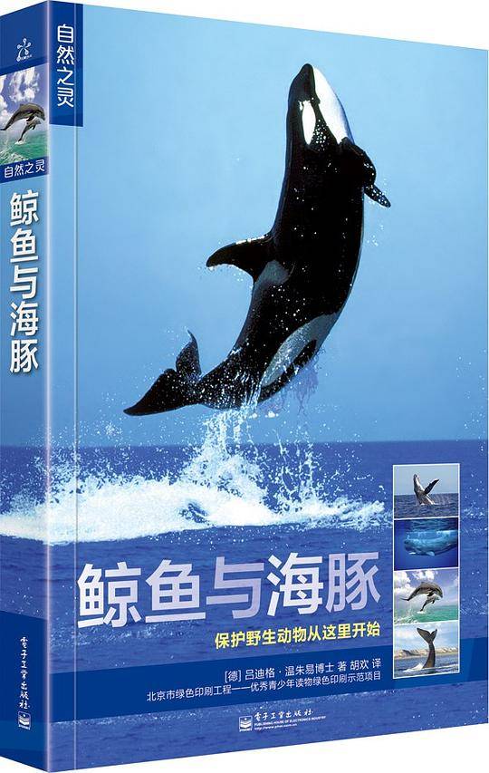 自然之灵 鲸鱼与海豚