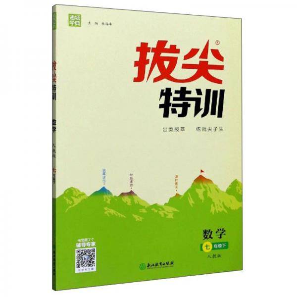 拔尖特训：数学（七年级下人教版）