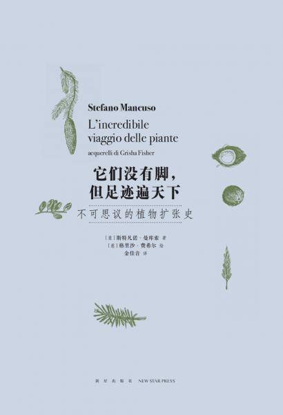 它们没有脚，但足迹遍天下：不可思议的植物扩张史