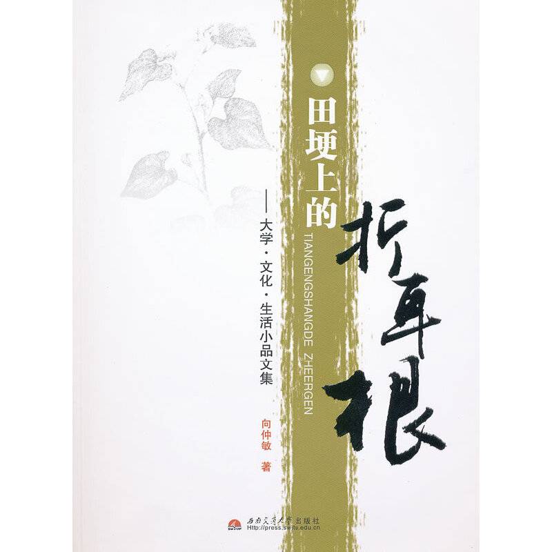 田埂上的折耳根――大学・文化・生活小品文集