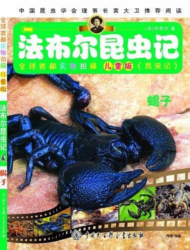 法布尔昆虫记--蝎子