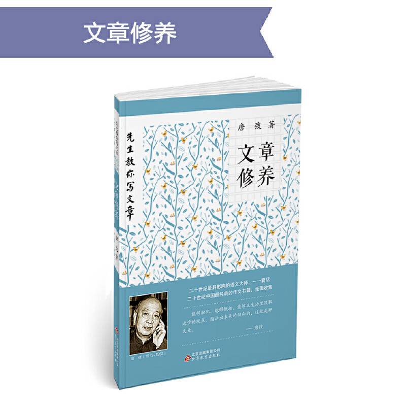 先生教你写文章:文章修养