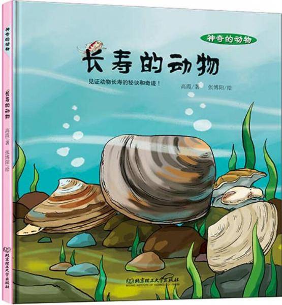 长寿的动物