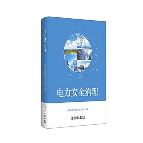 电力安全治理