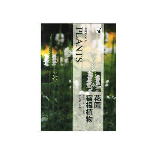 花园宿根植物