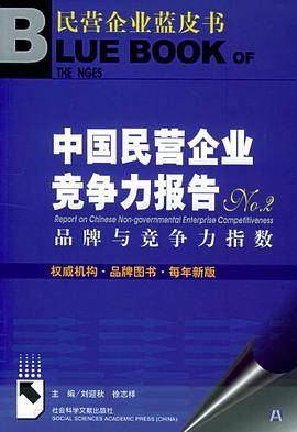 中国民营企业竞争力报告NO.2