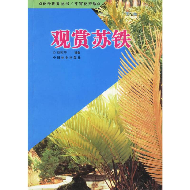 观赏苏铁