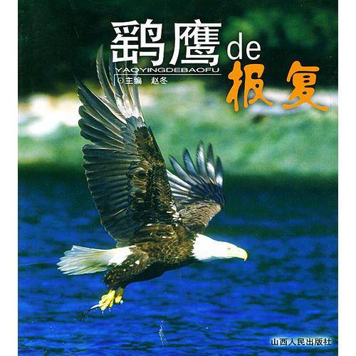 鹞鹰de报复