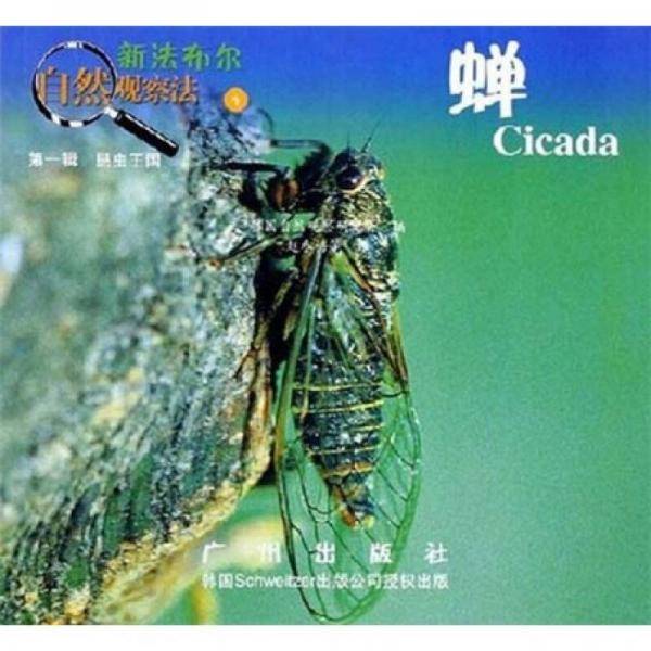 蜻蜓-昆虫王国（第一辑）