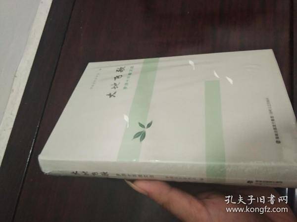 大地飞歌