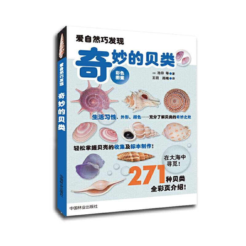 奇妙的贝类