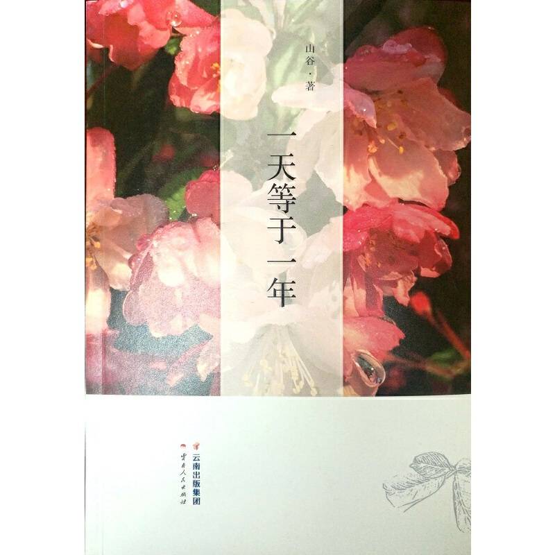 一天等于一年
