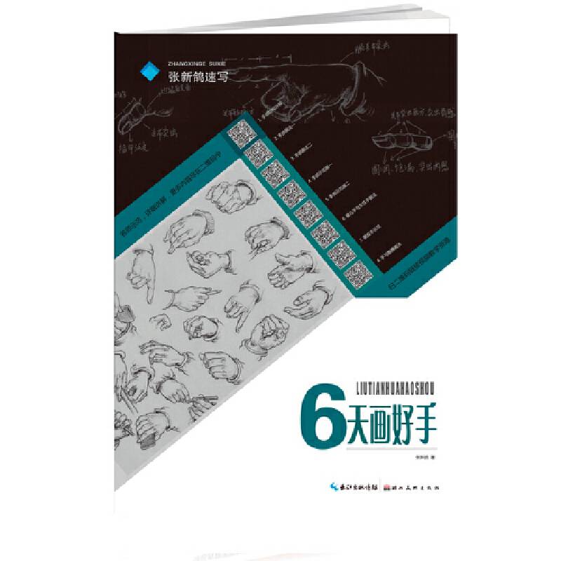 张新鸽速写・6天画好手