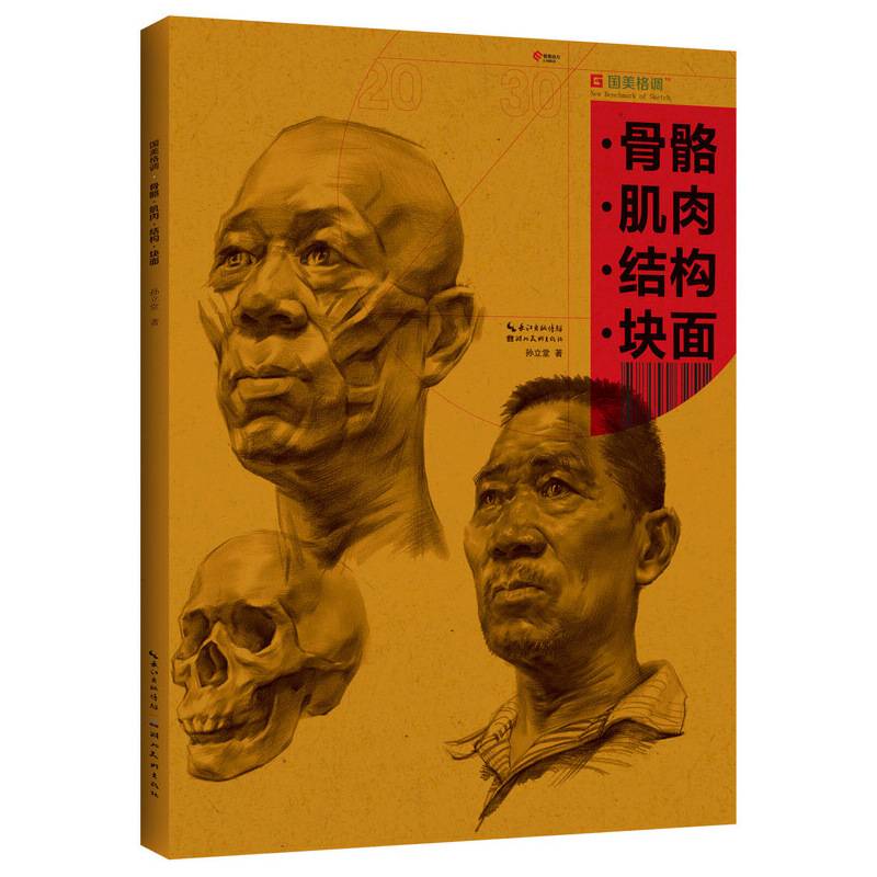 国美格调-骨骼 肌肉 结构 块面