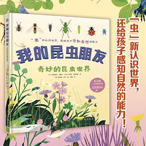 我的昆虫朋友·奇妙的昆虫世界