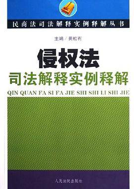 侵权法司法解释实例释解