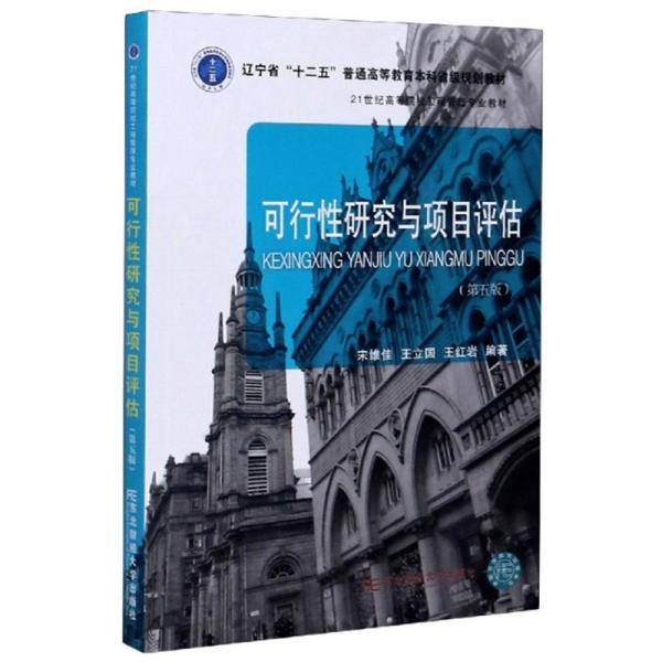 可行性研究与项目评估