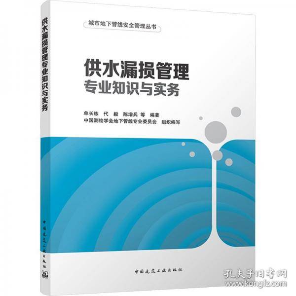 供水漏损管理专业知识与实务