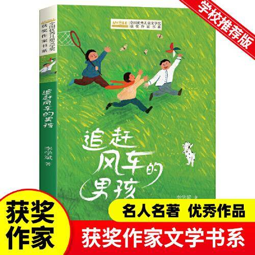 全国优秀儿童文学奖获奖作家书系——追赶风车的男孩