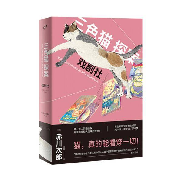 三色猫探案6