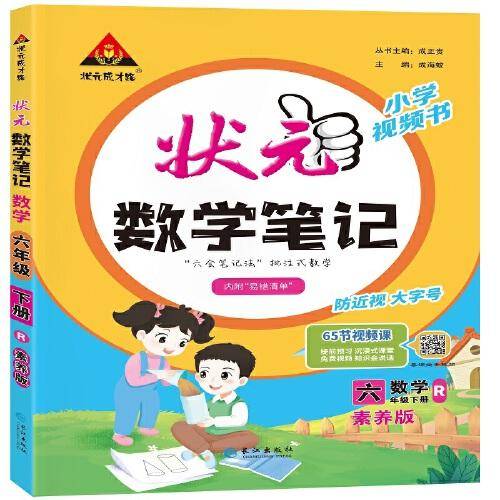 2024春-小学状元数学笔记六年级（人教版）下册
