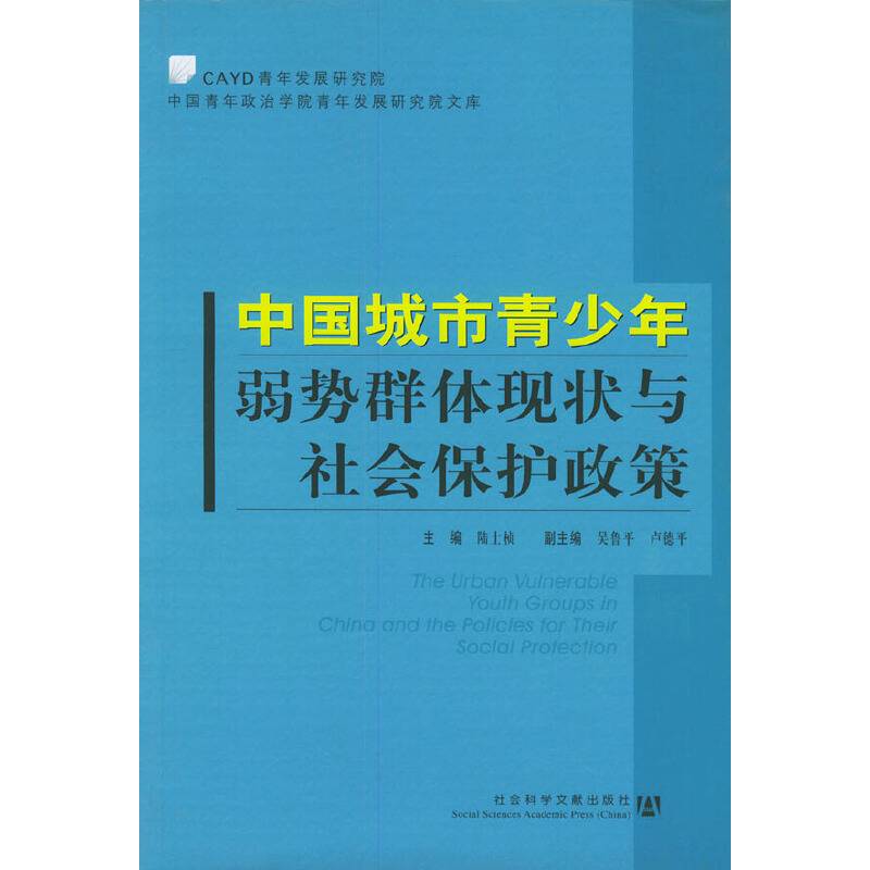 中国城市青少年弱势群体现状与社会保护政策