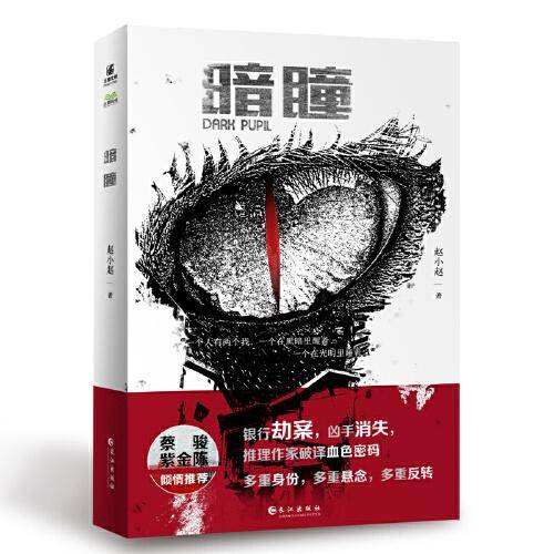暗瞳  新生代悬疑、推理类型文学作品代表作