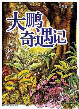 大鹏奇遇记