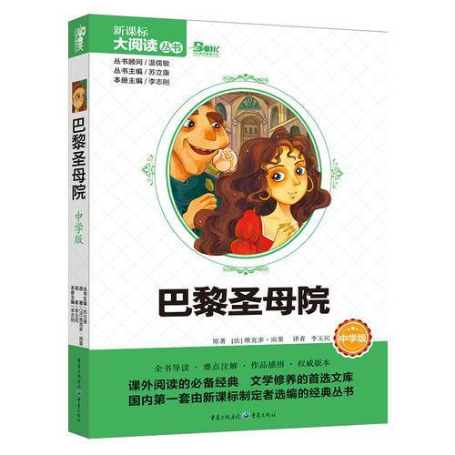 巴黎圣母院 中学版 大阅读丛书（天下图书）