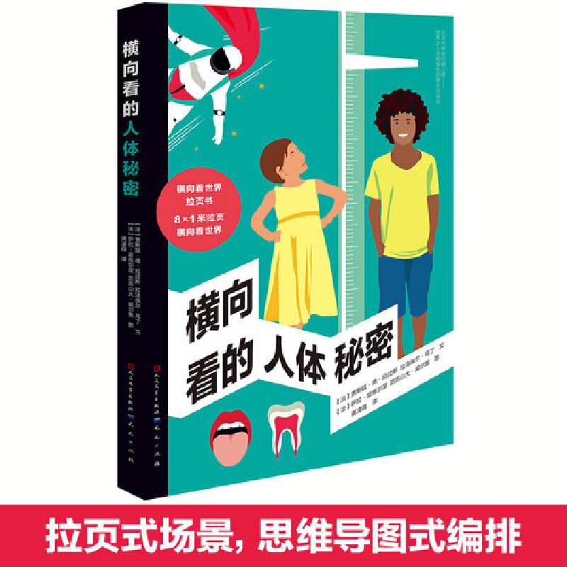 横向看的人体秘密