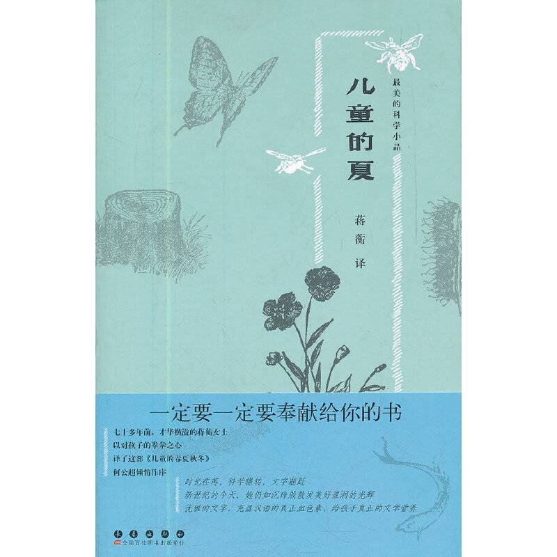 儿童的夏