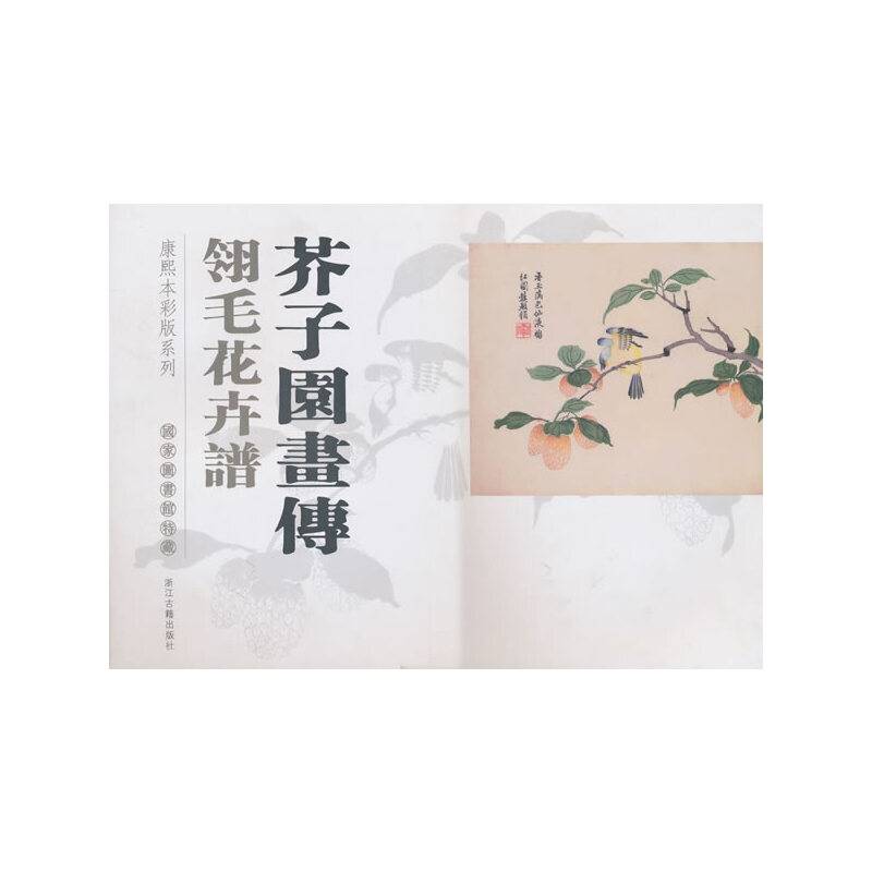 芥子园画传：翎毛花卉谱