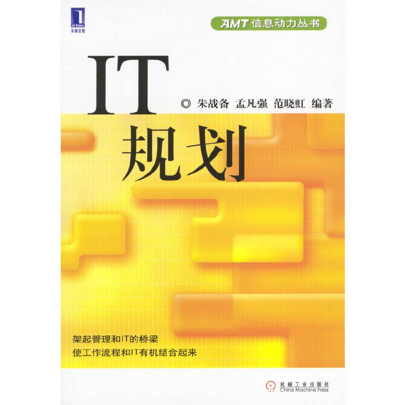IT规划---AMT信息动力丛书