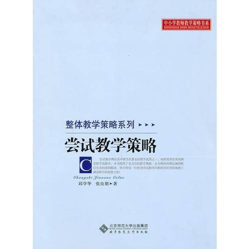 尝试教学策略