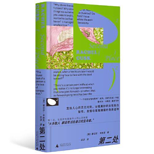 第二处（一个知识女性的思考系列、《成为母亲》作者最新力作！中年女性的心灵危机及自我救赎，探讨艺术与道德，解剖亲密关系）