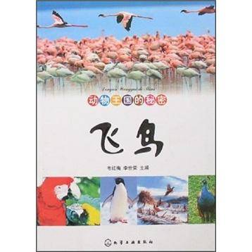 飞鸟
