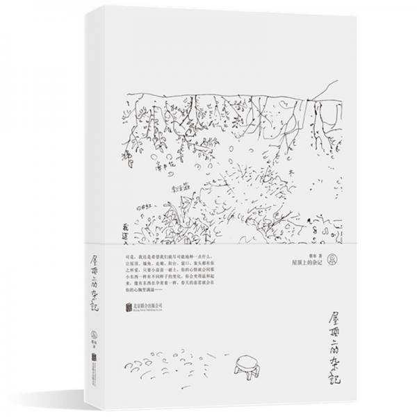 屋顶上的杂记